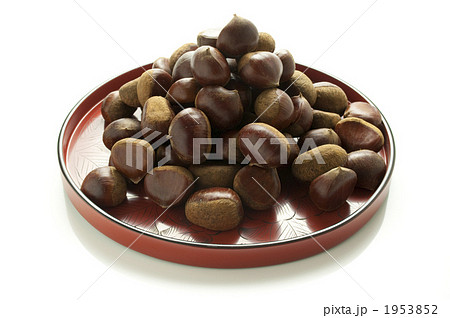 秋の味覚栗 秋の味覚栗 1953852