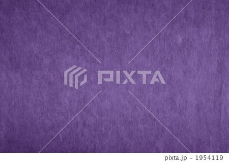 「菖蒲色　そうぶいろ」日本の伝統色シリーズ 和紙 楮 N-921 1954119