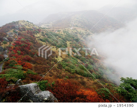 沓掛山 1954390