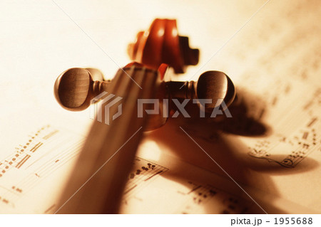 音楽 1955688
