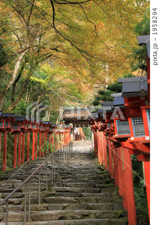 貴船神社・参道 1958294