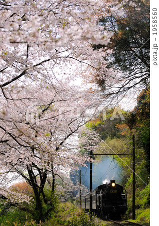 桜と蒸気機関車 1958560