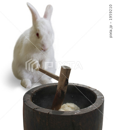 Rabbit Mochi Making White Back Stock Photo