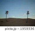 サハラの夕闇 1959336