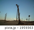 サハラの夕闇 1959363