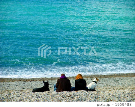 冬の海のカップル 1959488