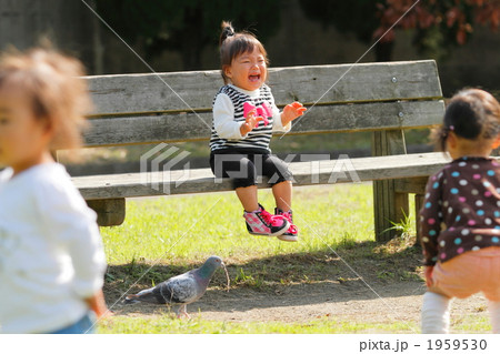ハトが怖くて泣く1歳の女の子 1959530