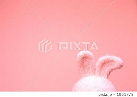 うさぎのぬいぐるみの耳 1961778