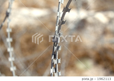 有刺鉄線 カミソリ状 エルサレム近郊の写真素材