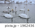 1962436