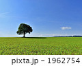 1962754