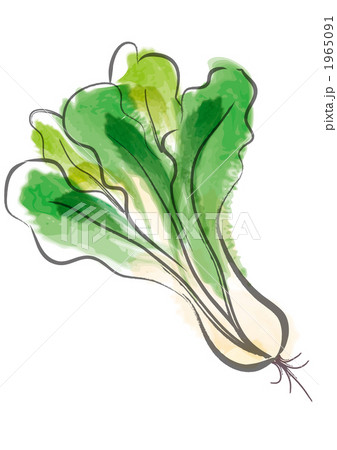ほうれん草_101110 1965091