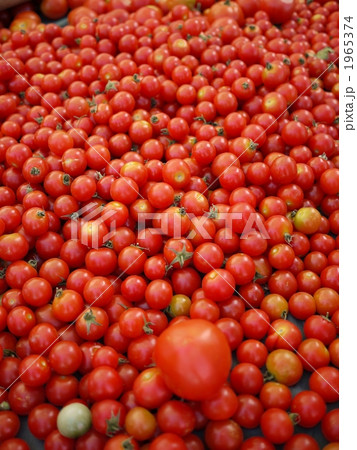 トマト　市場 1965374