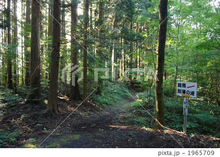 坂本龍馬　脱藩の道 1965709