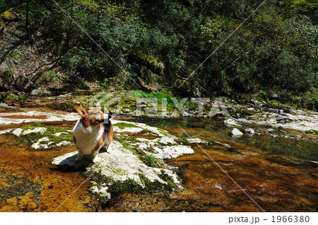 風かおる 1966380