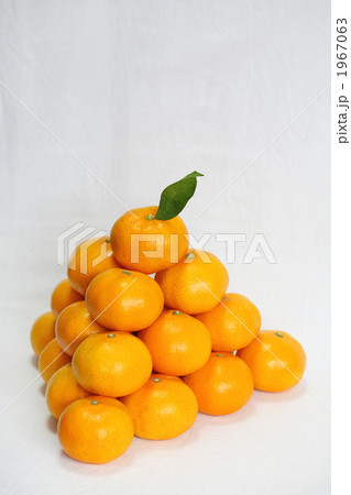 温州みかん 温州みかん 1967063