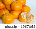 温州みかん 1967068