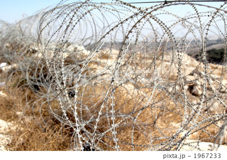 有刺鉄線　イスラエル　パレスチナ 1967233