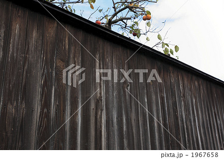 塀越しの秋 1967658