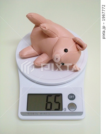 キッチンスケールとぶた 1967772