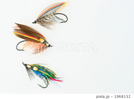 毛針 フライ 毛針 フライ 1968132