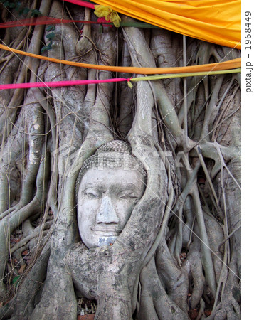 ワット・プラ・マハタート 1968449