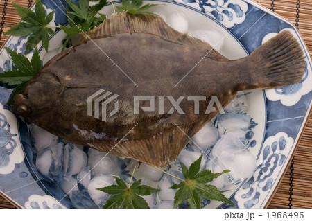 真子カレイ 1968496