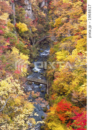 鳴子峡の紅葉 1968617
