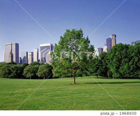 セントラルパーク セントラルパーク 1968930