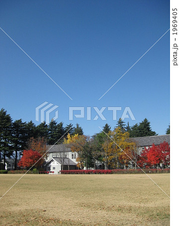 紅葉のあがたの森公園 紅葉のあがたの森公園 1969405