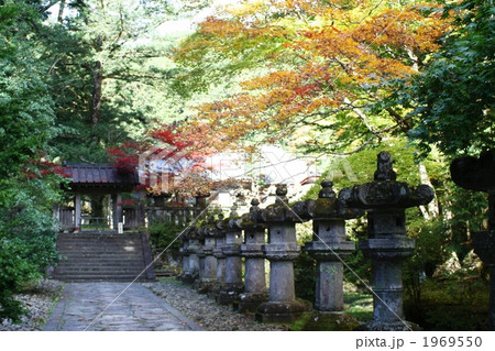 日光の社寺の紅葉 1969550