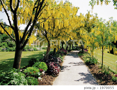 バン・デューセン植物園 1970055