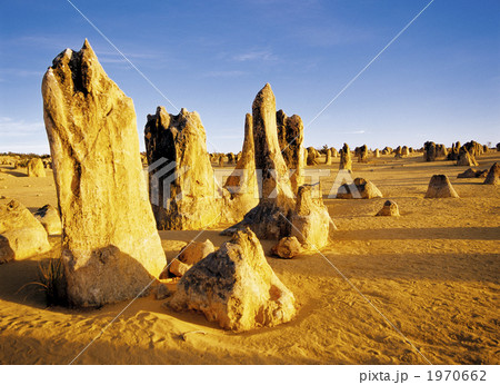 ピナクルズの奇岩群 1970662