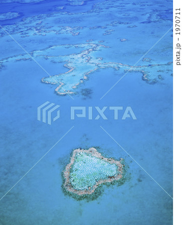 ハート型珊瑚礁 ハート型珊瑚礁 1970711