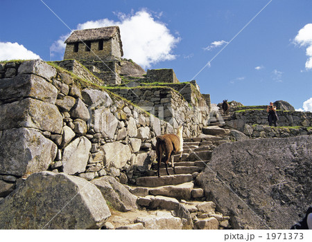 マチュピチュ遺跡 1971373