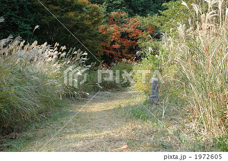 石仏の道 1972605