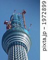 建設中の東京スカイツリー 1972899