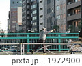 鳩に餌を投げる 1972900