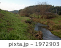 秋の根木名川 1972903