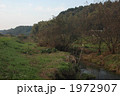 秋の根木名川 1972907