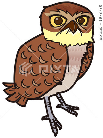アナホリフクロウ02 のイラスト素材