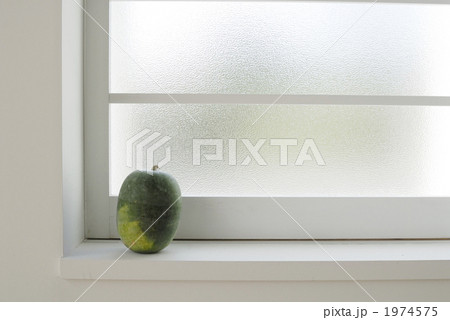 冬瓜 冬瓜 1974575