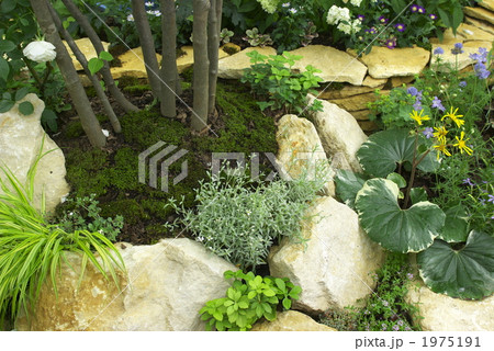 ガーデニング 1975191
