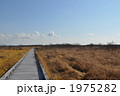 釧路湿原 1975282