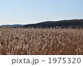 1975320