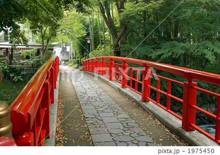 情緒ある朱塗りの橋 竹林ともみじ 情緒ある朱塗りの橋 竹林ともみじ 1975450