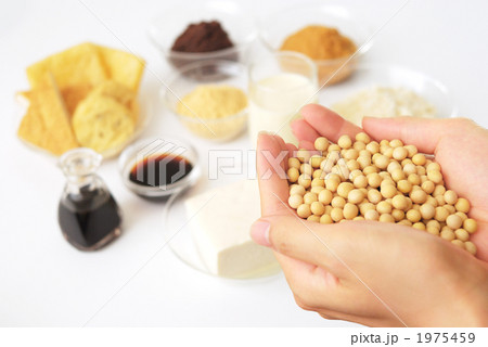 大豆食品 1975459
