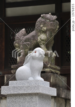 狛兎 狛兎 1976855