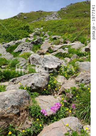 登山道 1977341