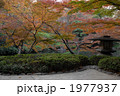 秋、日本庭園で紅葉狩り 1977937